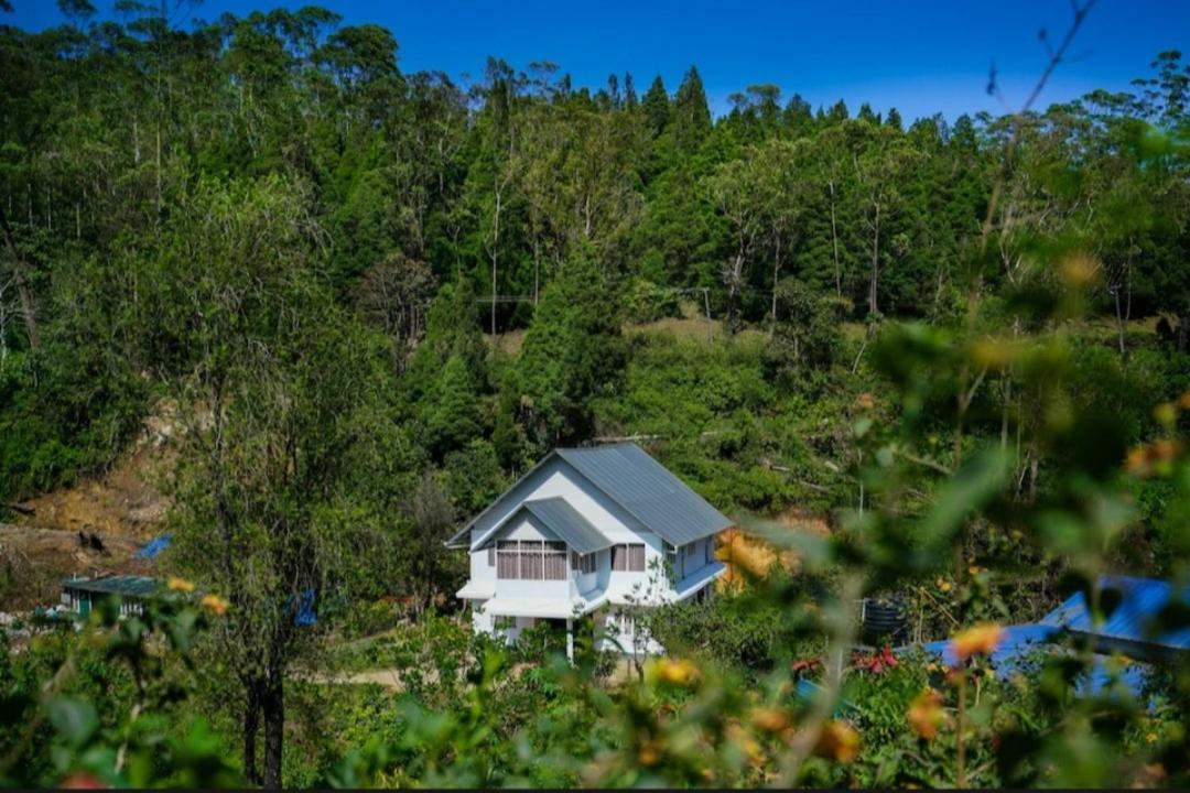 Homestay Skylark Homes
