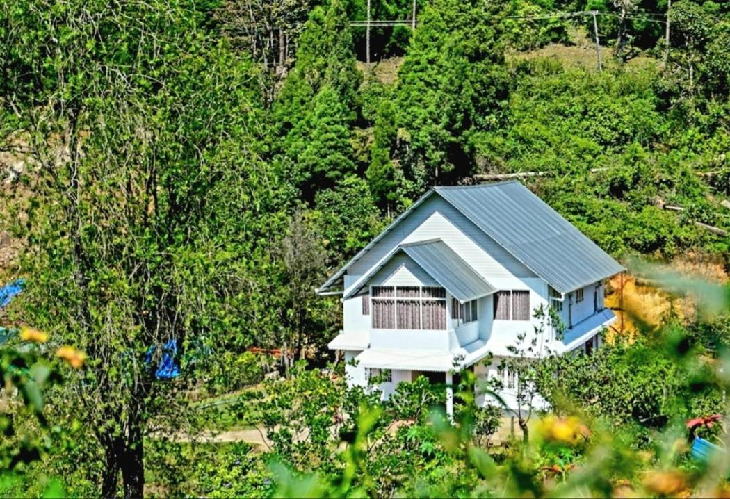 Homestay Skylark Homes